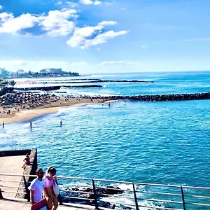 Flores 4 Playa de las Americas (Tenerife)